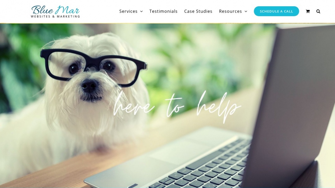 Screenshot of Blue Mar Web Design & Marketing's Website
