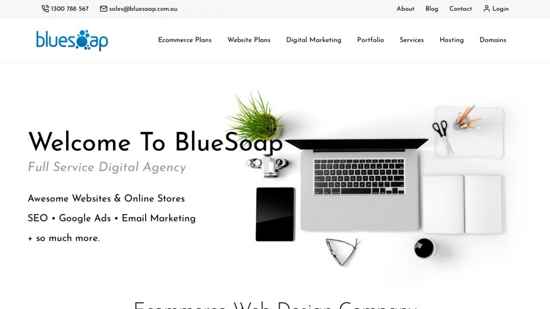 Screenshot of BlueSoap's Website