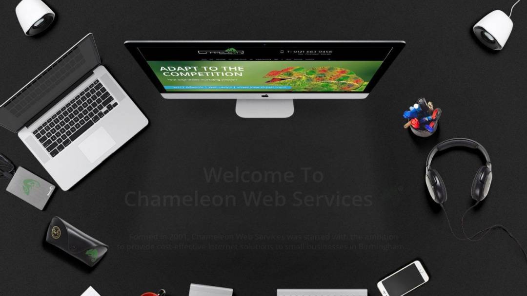 Screenshot of Chameleon Web Services's Website
