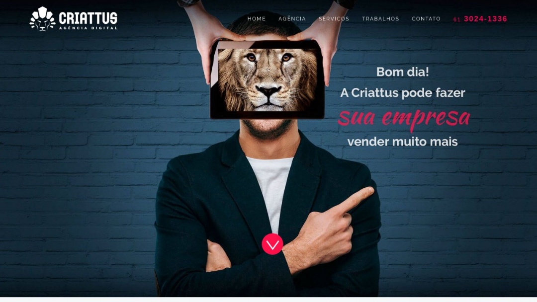 Screenshot of Criattus's Website