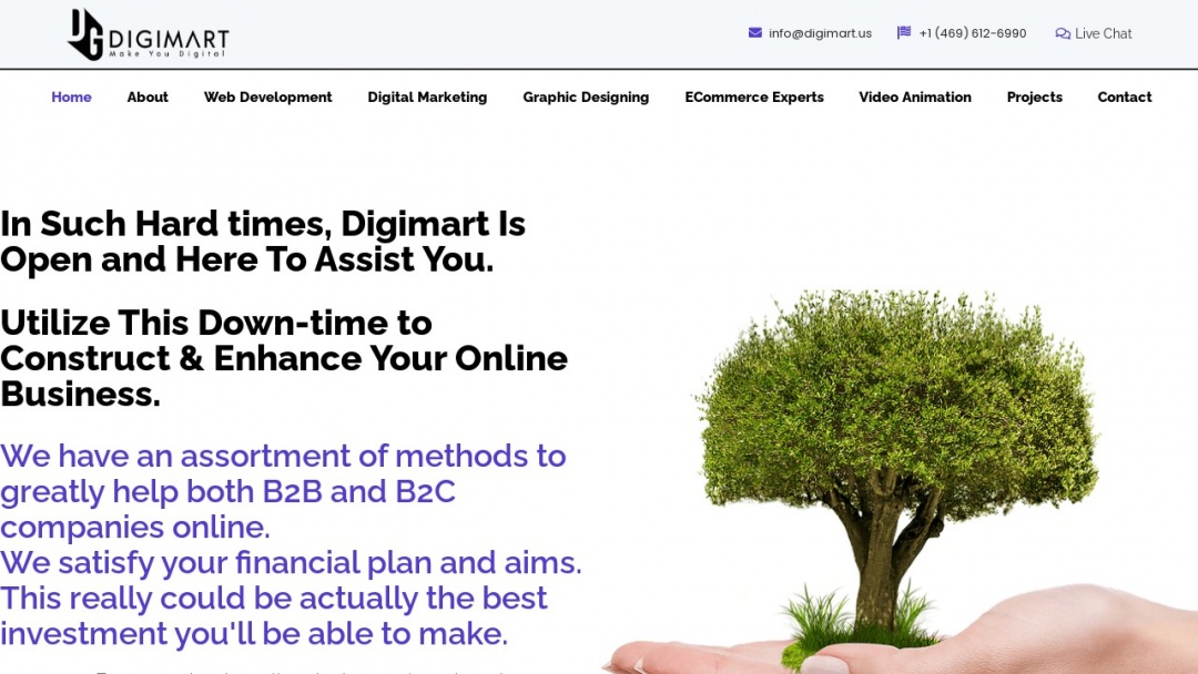 Screenshot of Digimart's Website