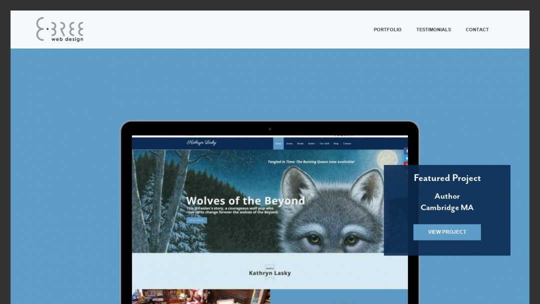 Screenshot of eBree Web Design's Website