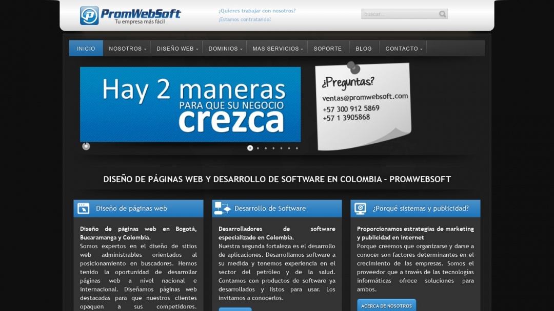 Screenshot of Promo Web Soft's Website