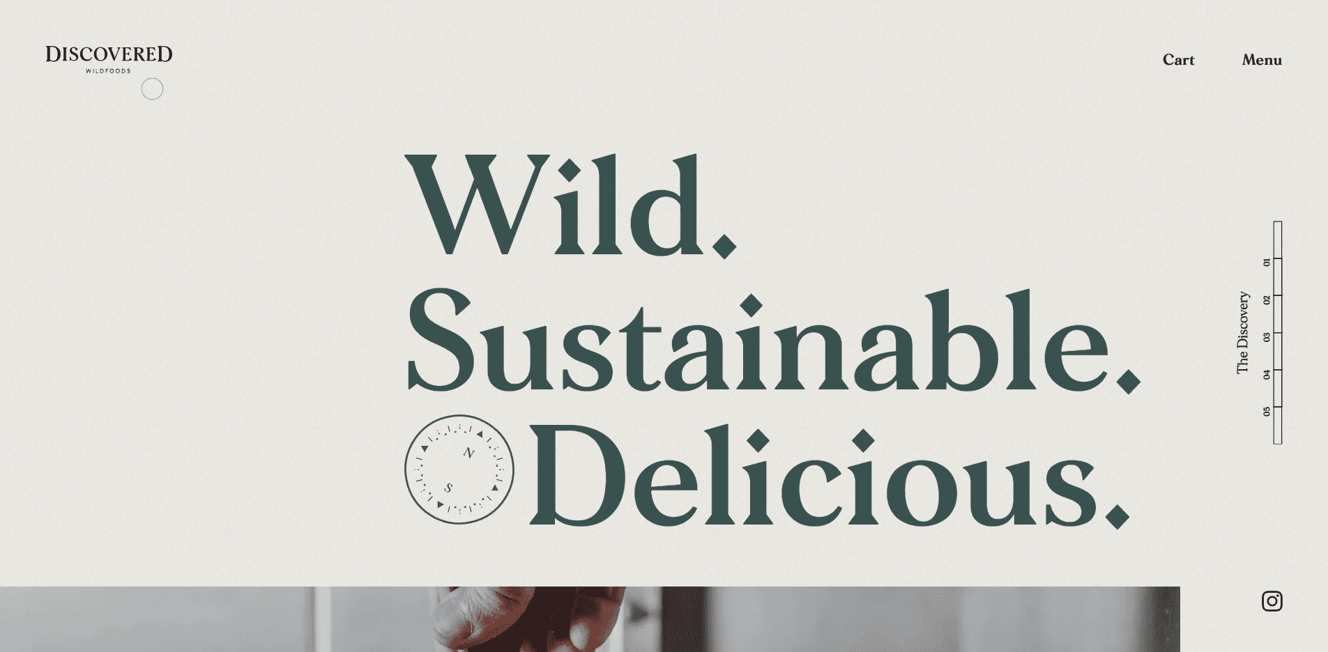 Best Agency Website for Discovered Wildfoods