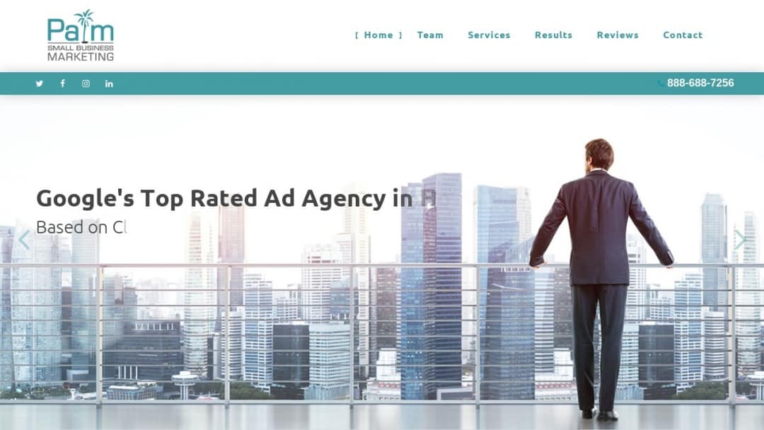 Screenshot of Palm Small Business Marketing's Website