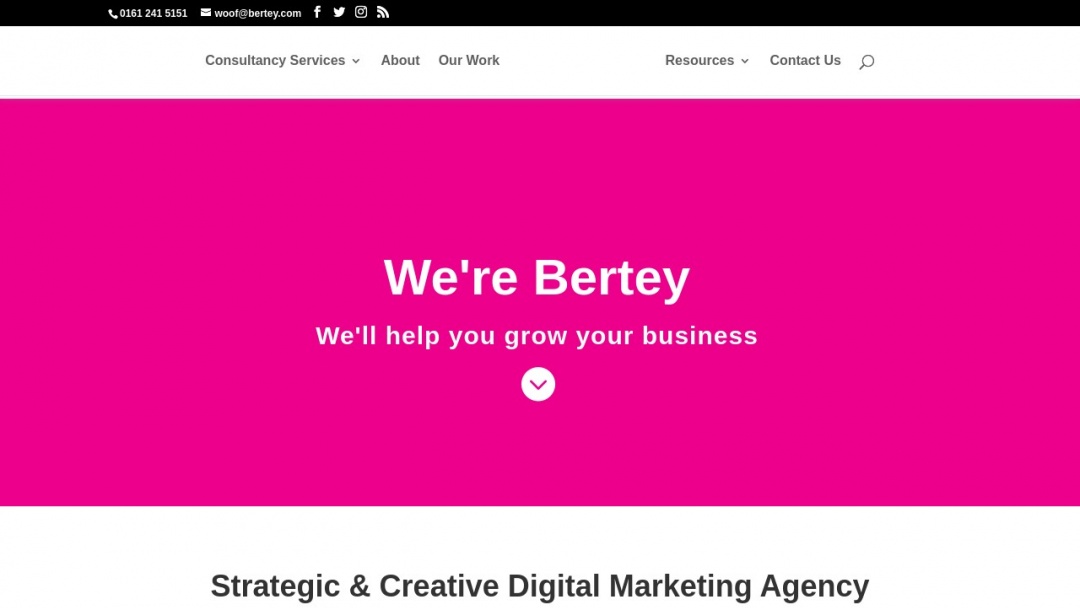 Screenshot of Bertey's Website