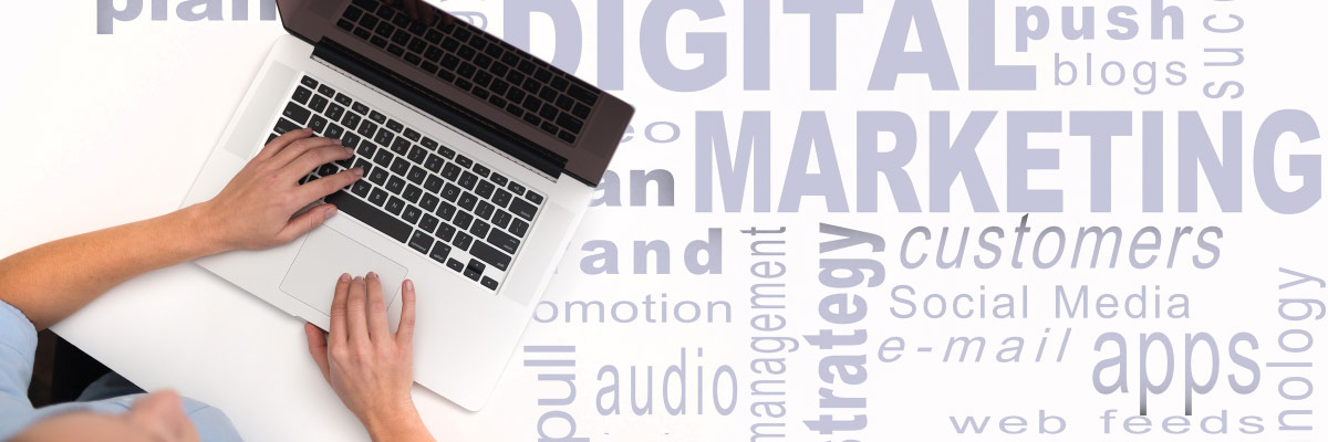 What services do you (the digital marketing agency) provide?