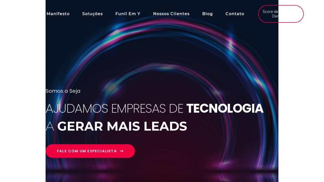 Screenshot of Agência Seja's Website
