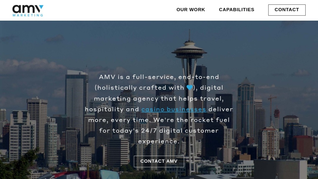 Screenshot of AMV Internet Marketing's Website