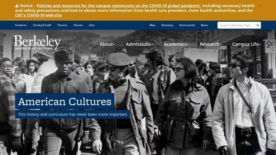 Screenshot of berkeley college's Website