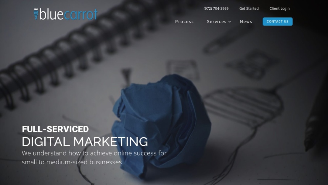 Screenshot of Blue Carrot Creative's Website