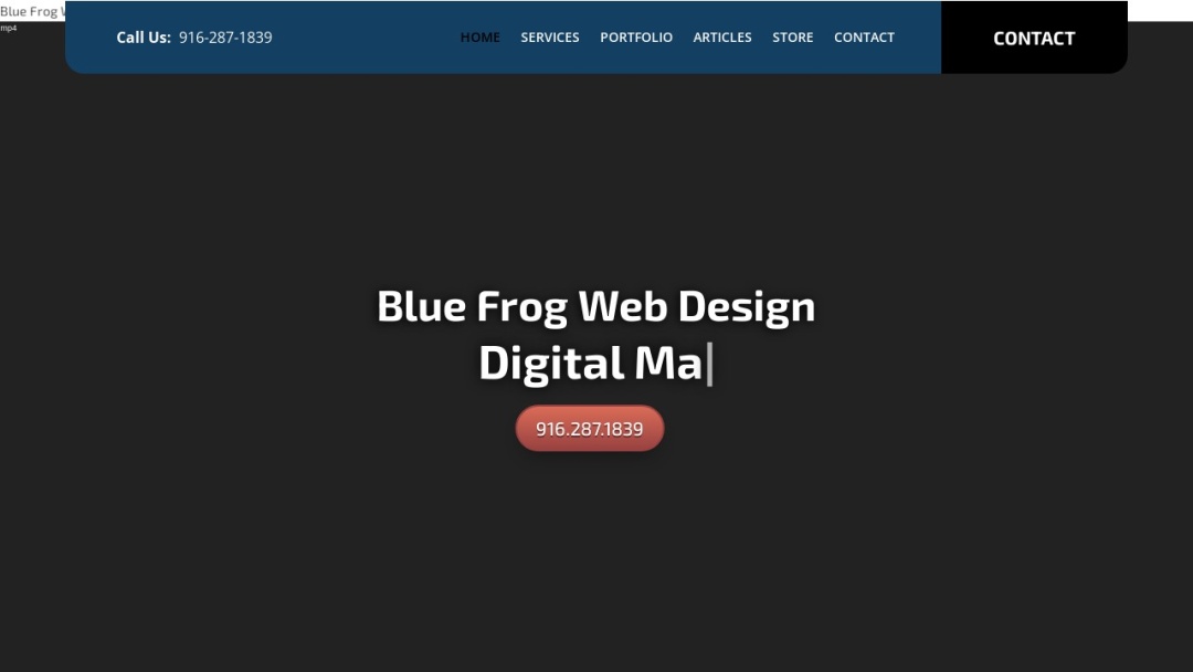 Screenshot of Blue Frog Web Design's Website