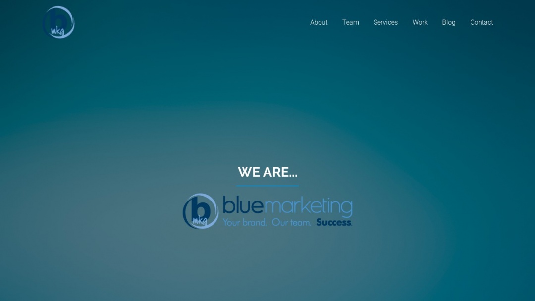 Screenshot of Blue Marketing's Website