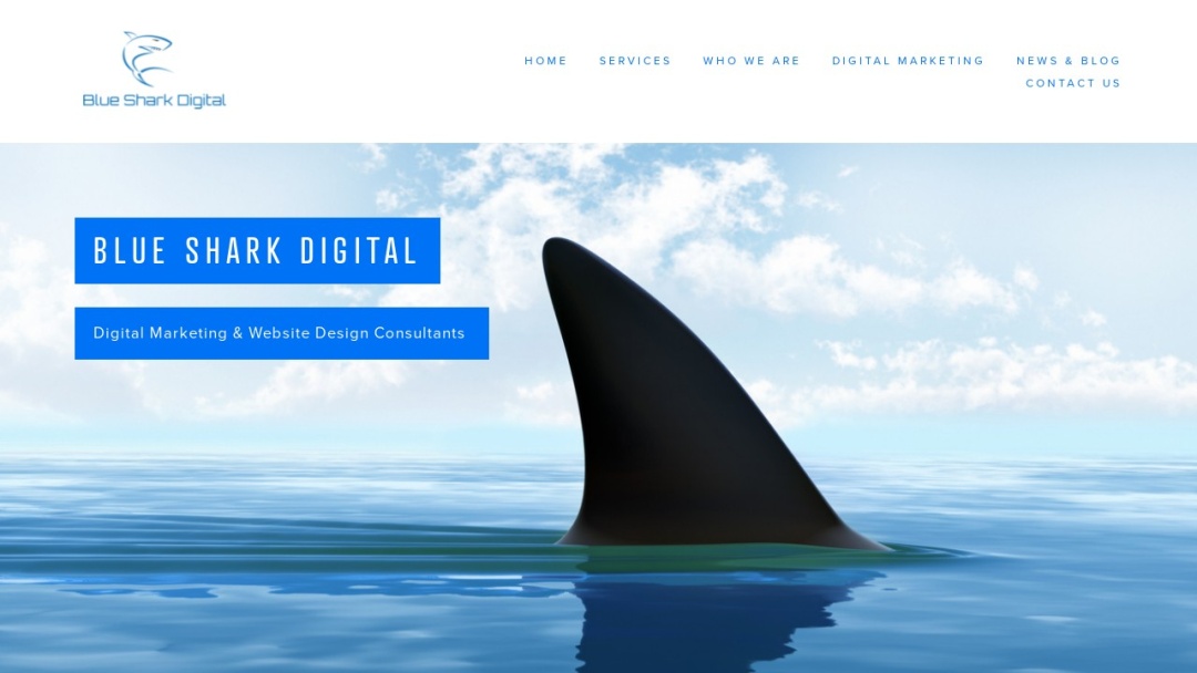 Screenshot of Blue Shark Digital's Website