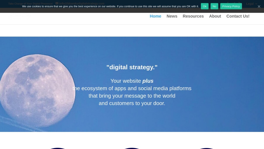 Screenshot of BlueSky Digital Strategy's Website