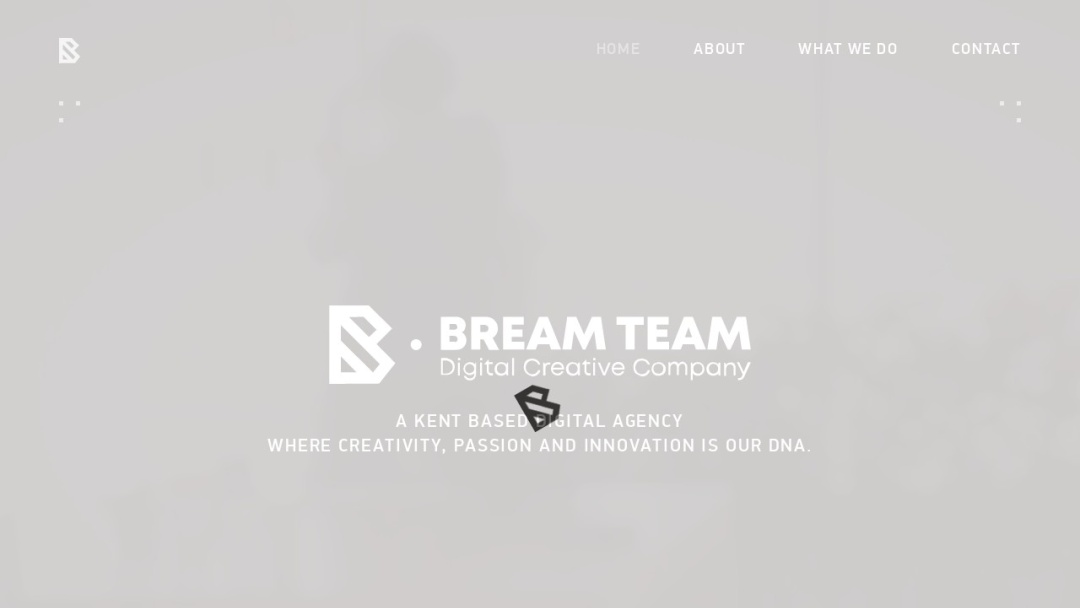 Screenshot of Bream Team Ltd's Website