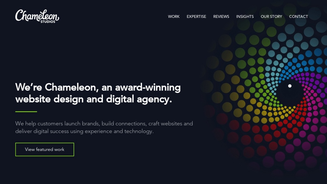 Screenshot of Chameleon Studios Ltd's Website