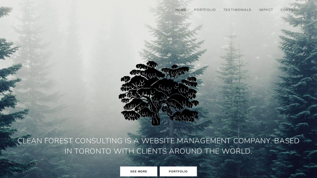 Screenshot of Clean Forest Web Solutions Inc.'s Website