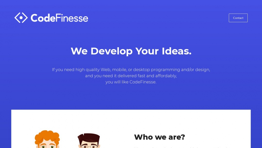 Screenshot of CodeFinesse's Website