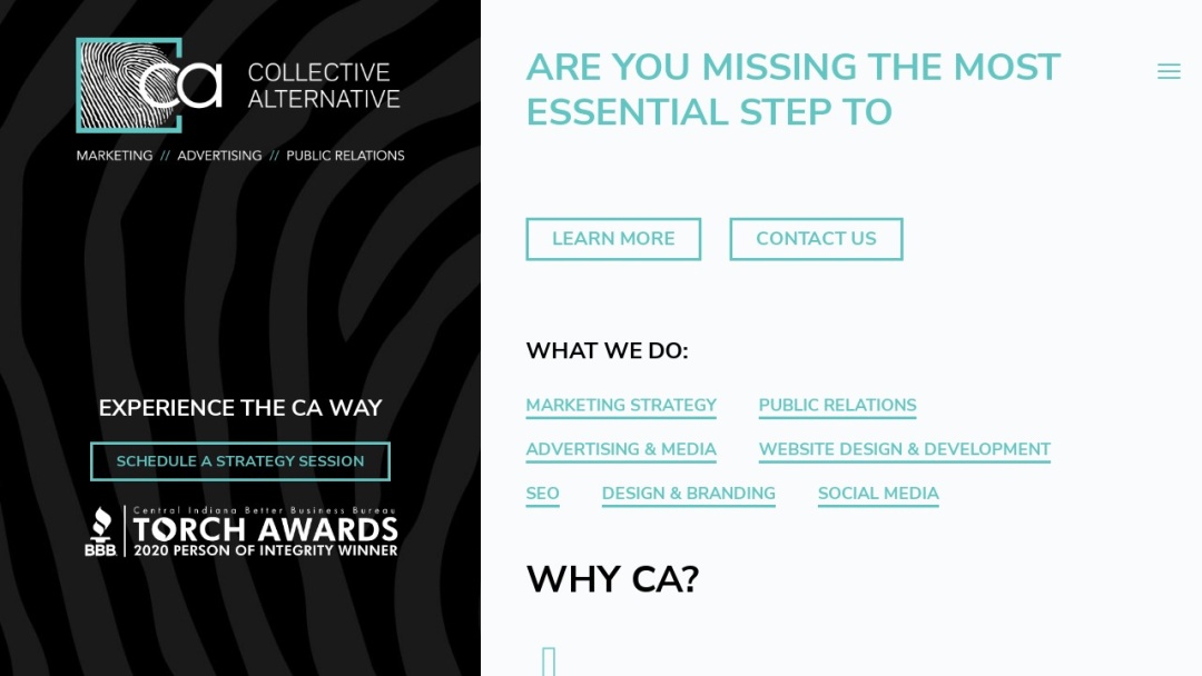 Screenshot of Collective Alternative's Website