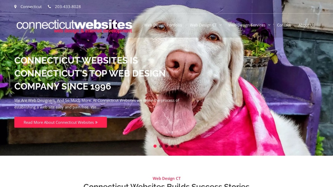 Screenshot of Connecticut Websites's Website