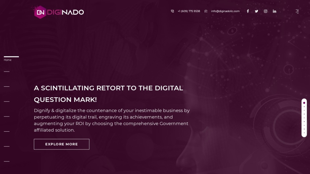 Screenshot of DIGINADO's Website