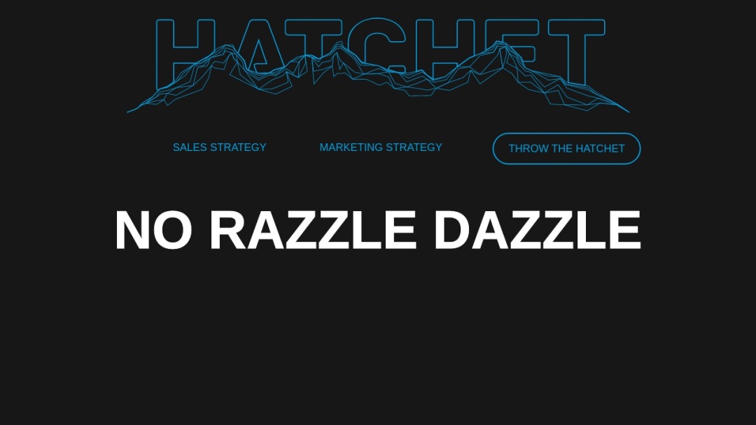 Screenshot of Hatchet Marketing's Website