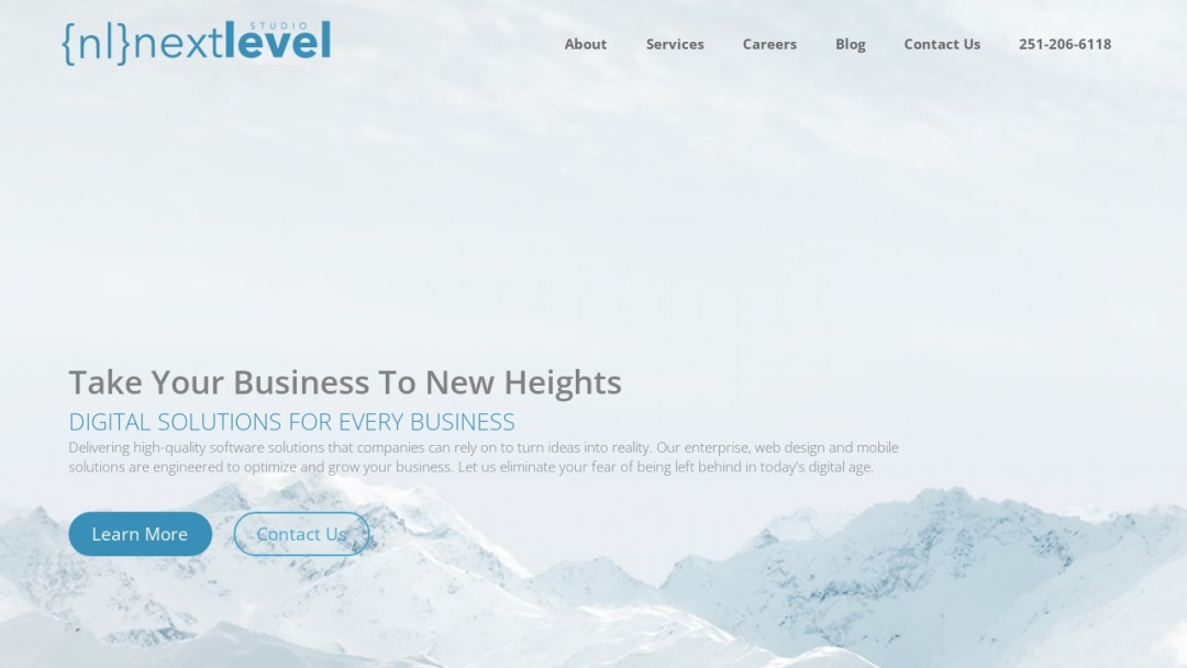 Screenshot of Next Level Studio's Website
