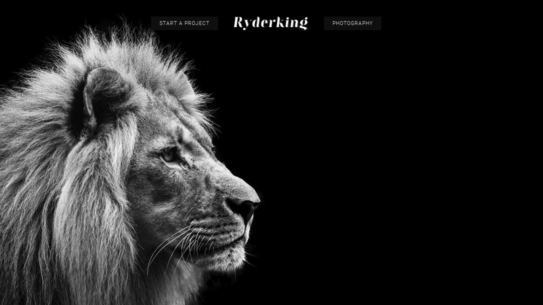 Screenshot of Ryderking Creative's Website