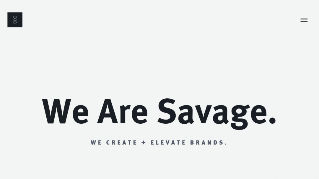 Screenshot of Savage Solutions LLC's Website