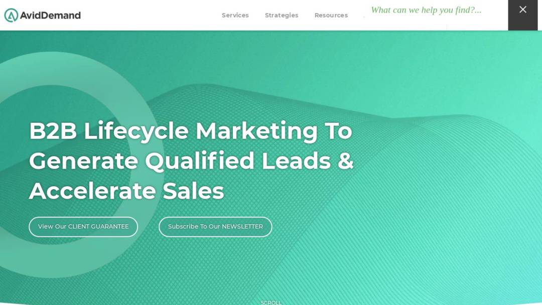 Screenshot of SmartSearch Marketing's Website