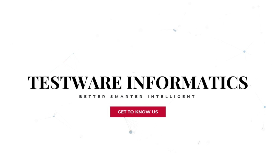 Screenshot of Testware Informatics's Website