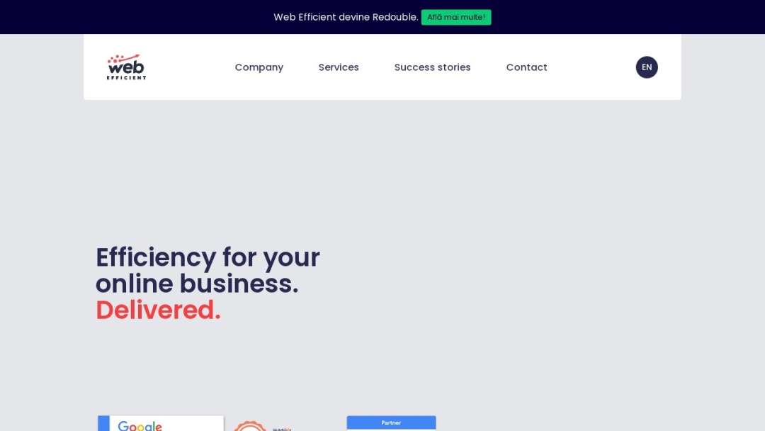 Screenshot of Web Efficient's Website