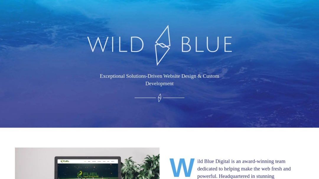 Screenshot of Wild Blue Digital's Website