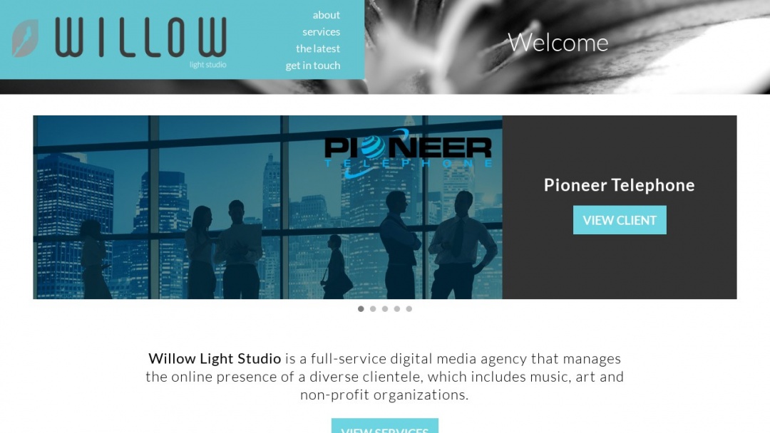 Screenshot of Willow Light Studio's Website
