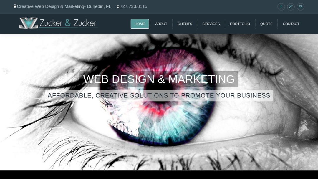 Screenshot of Zucker and Zucker's Website