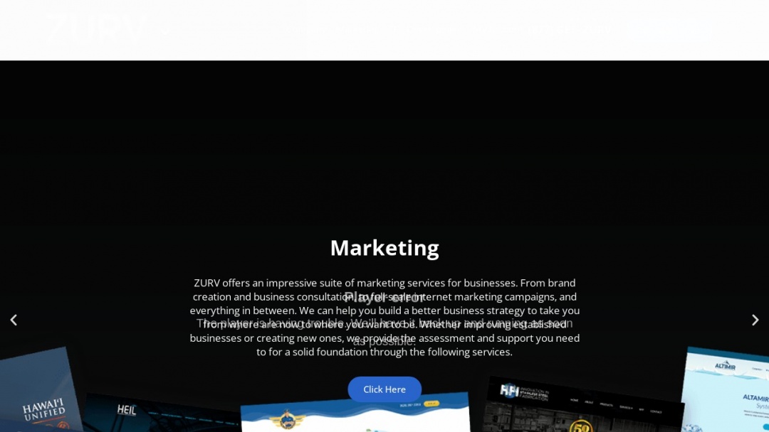 Screenshot of ZURV's Website