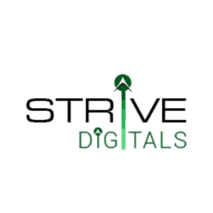 Strive Digital Pvt Ltd - Award Winning Agency in South Vasna