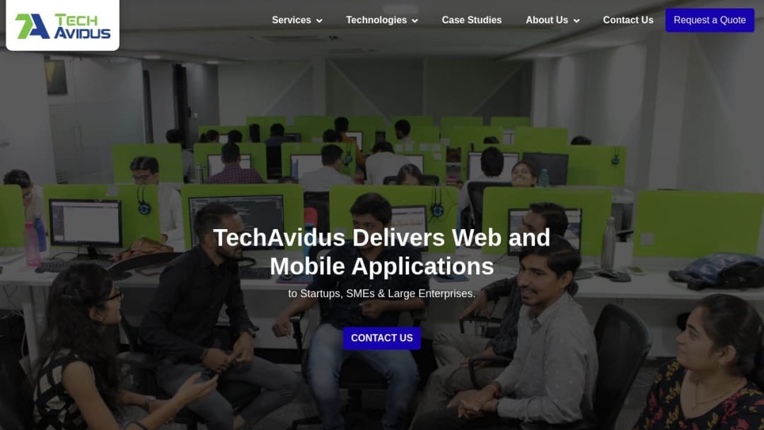 Screenshot of TechAvidus's Website