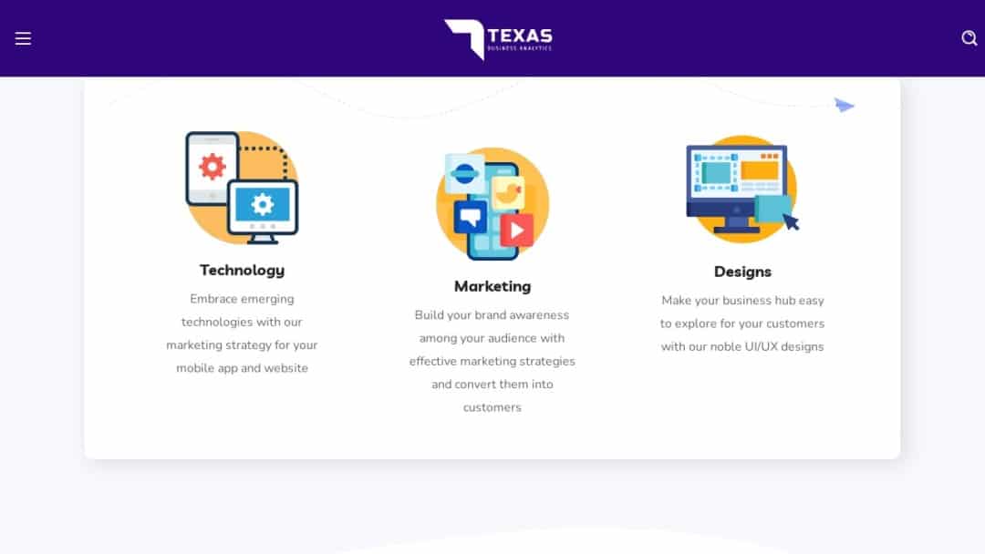 Screenshot of Texas Business Analytics's Website